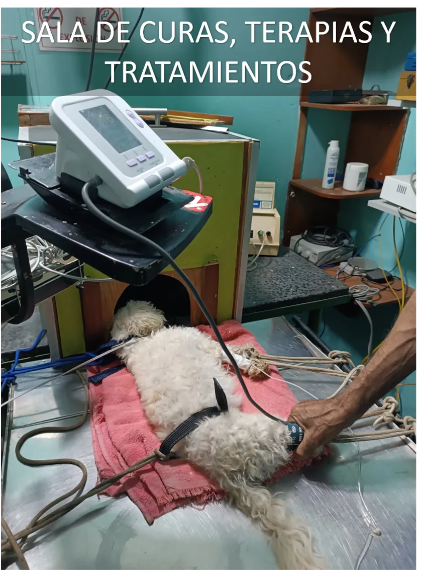 Instalación 11